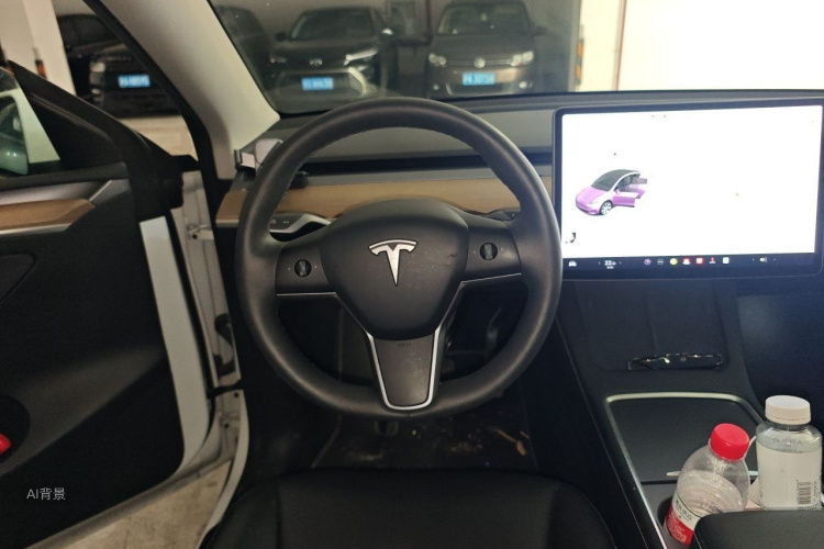Tesla Model Y 2021 car image #12