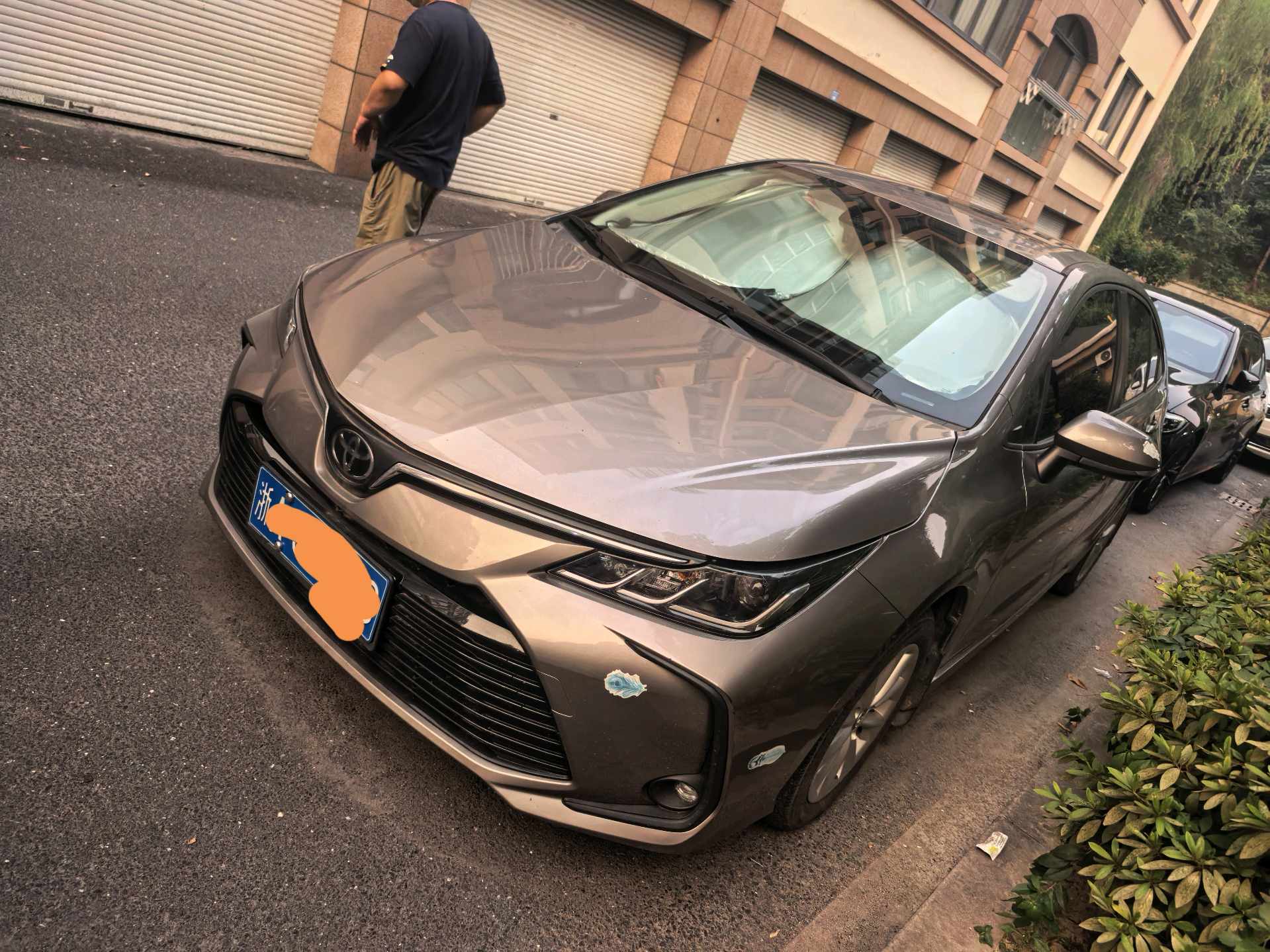 Toyota Corolla 2022 Toyota Corolla 2022 car image