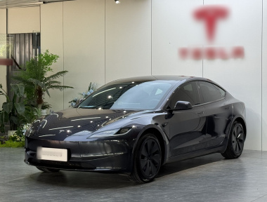 Tesla Model 3 2024 Tesla Model 3 2024 car image