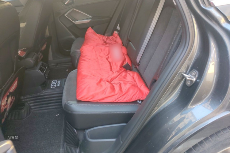 Audi Q3 2019 #19 Audi Q3 2019 car image #19
