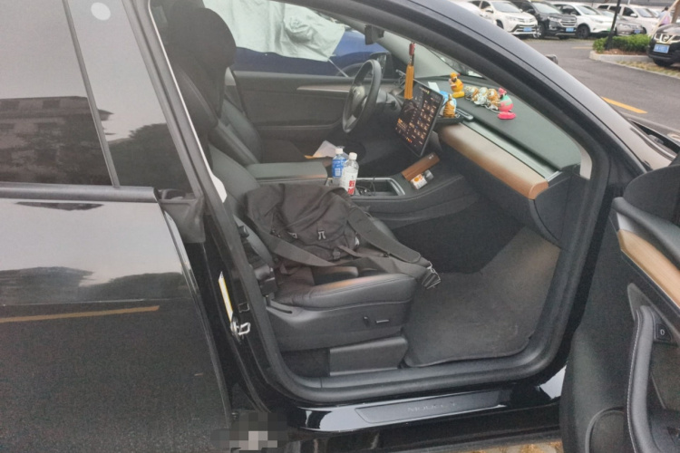 Tesla Model Y 2021 car image #26