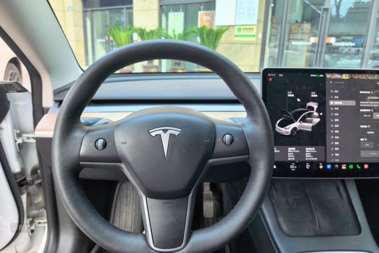 Tesla Model 3 2021 car image #13