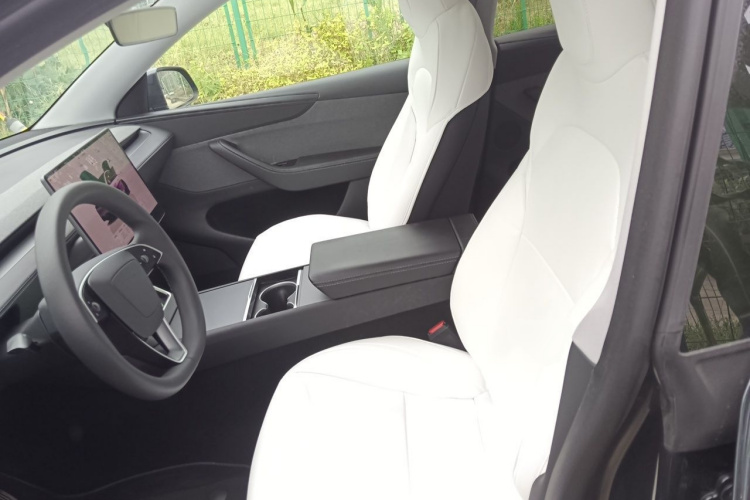 Tesla Model Y 2025 car image #15