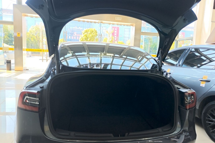 Tesla Model 3 2021 #19 Tesla Model 3 2021 car image #19