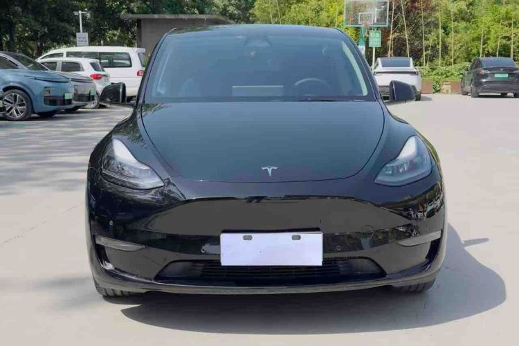 Tesla Model Y 2021 #3 Tesla Model Y 2021 car image #3
