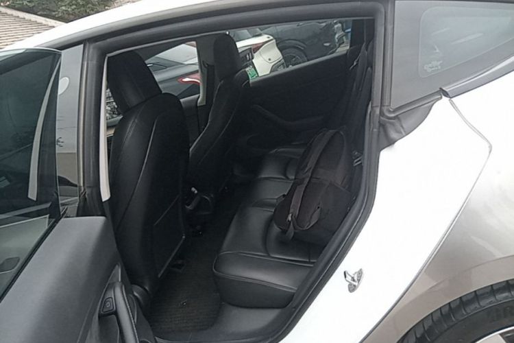 Tesla Model 3 2021 car image #13