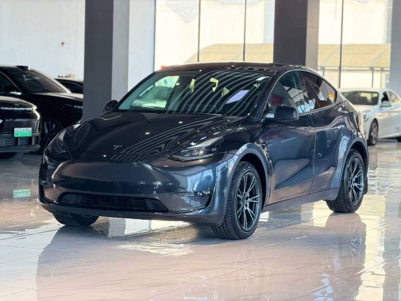 Tesla Model Y 2024 Tesla Model Y 2024 car image