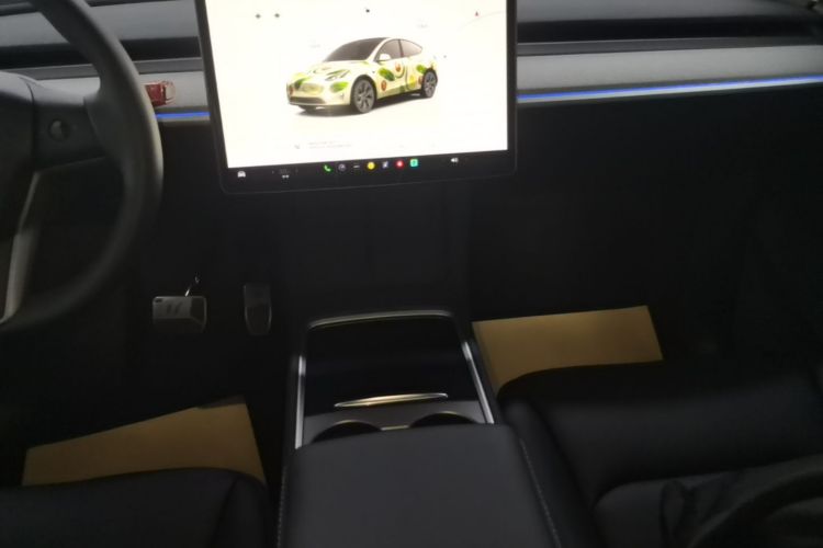 Tesla Model Y 2023 car image #13