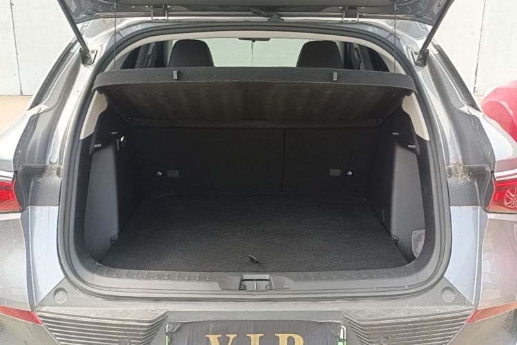 BYD Yuan Plus 2024 car image #19