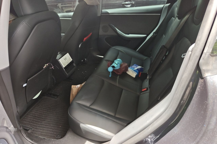 Tesla Model 3 2024 car image #19