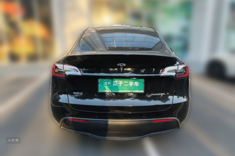 Tesla Model Y 2023 car image #6