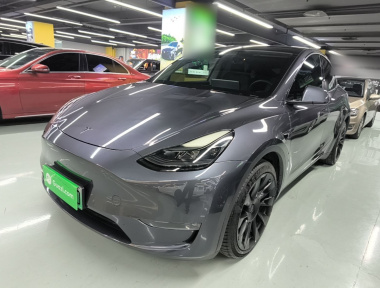 Tesla Model Y 2021 car image 
