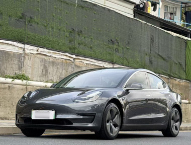 Tesla Model 3 2020 car image 
