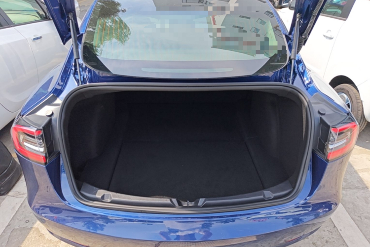 Tesla Model 3 2020 #23 Tesla Model 3 2020 car image #23