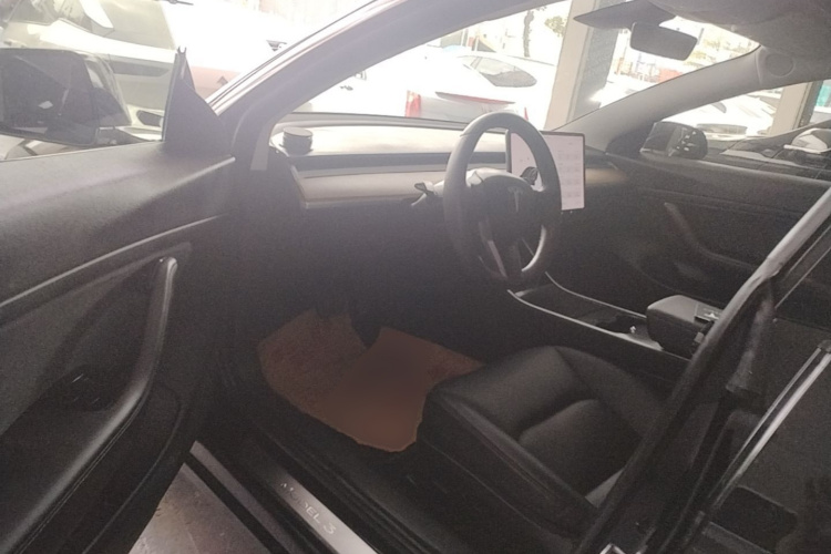 Tesla Model 3 2020 car image #12