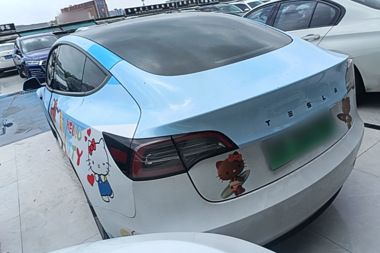Tesla Model 3 2022 immagine di auto #5