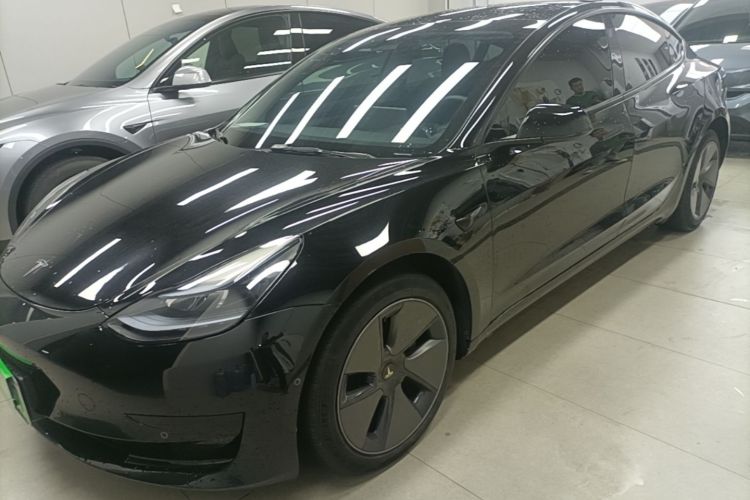 Tesla Model 3 2023 immagine di auto #2