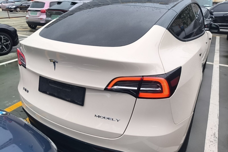 Tesla Model Y 2023 car image #4