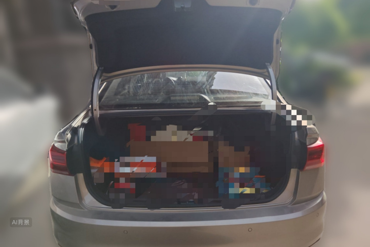 Volkswagen Bora 2020 immagine di auto #21