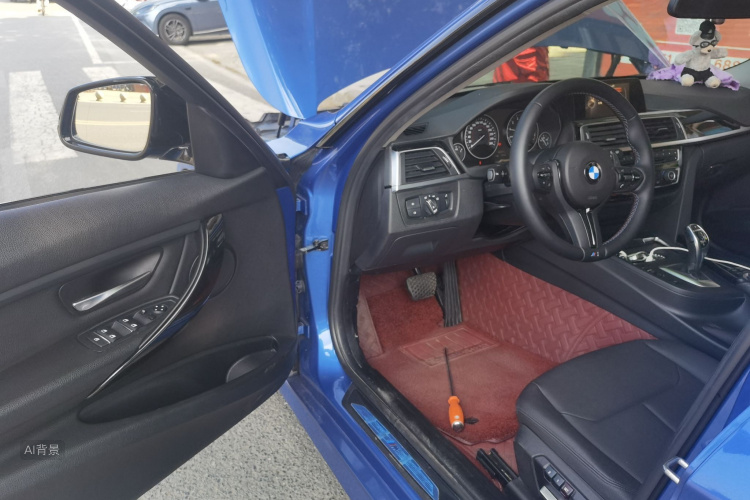 BMW 3 Series 2017 car image #18