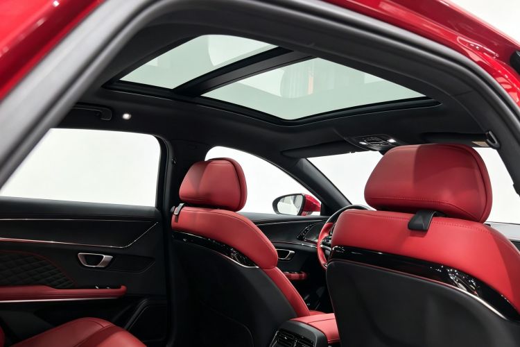 BYD Han 2021 car image #22