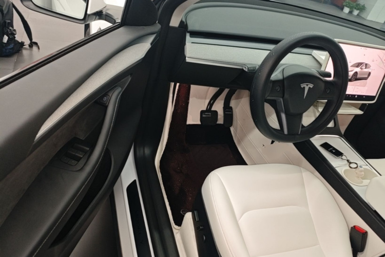 Tesla Model Y 2023 car image #16