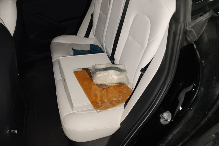 Tesla Model 3 2021 immagine di auto #19