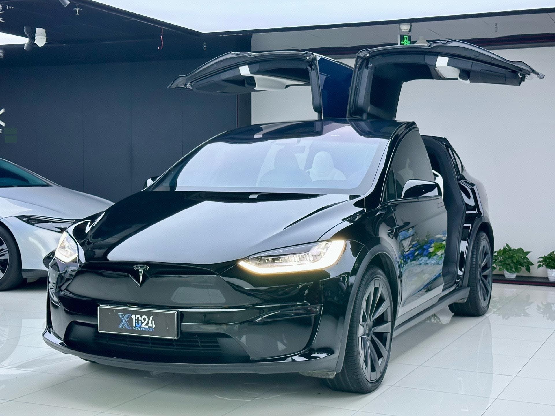 Tesla Model X 2023 car image 