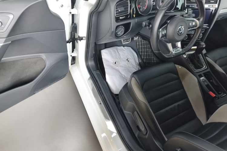 Volkswagen Golf 2019 car image #12