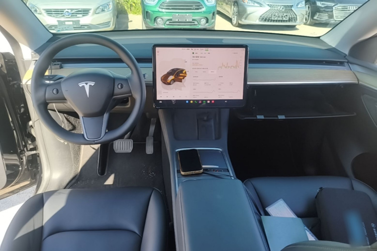 Tesla Model Y 2022 immagine di auto #10