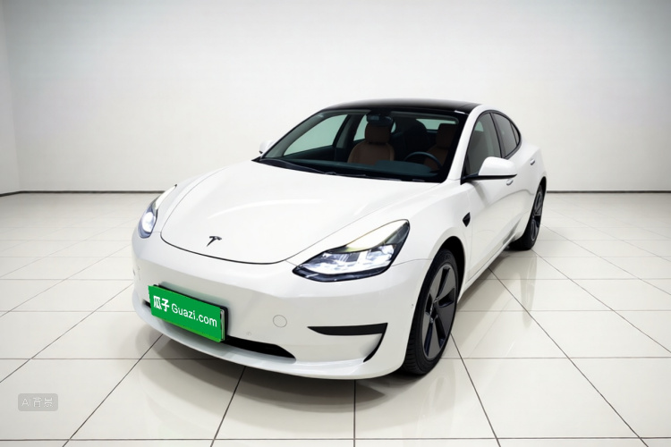 Tesla Model 3 2021 #2 Tesla Model 3 2021 car image #2