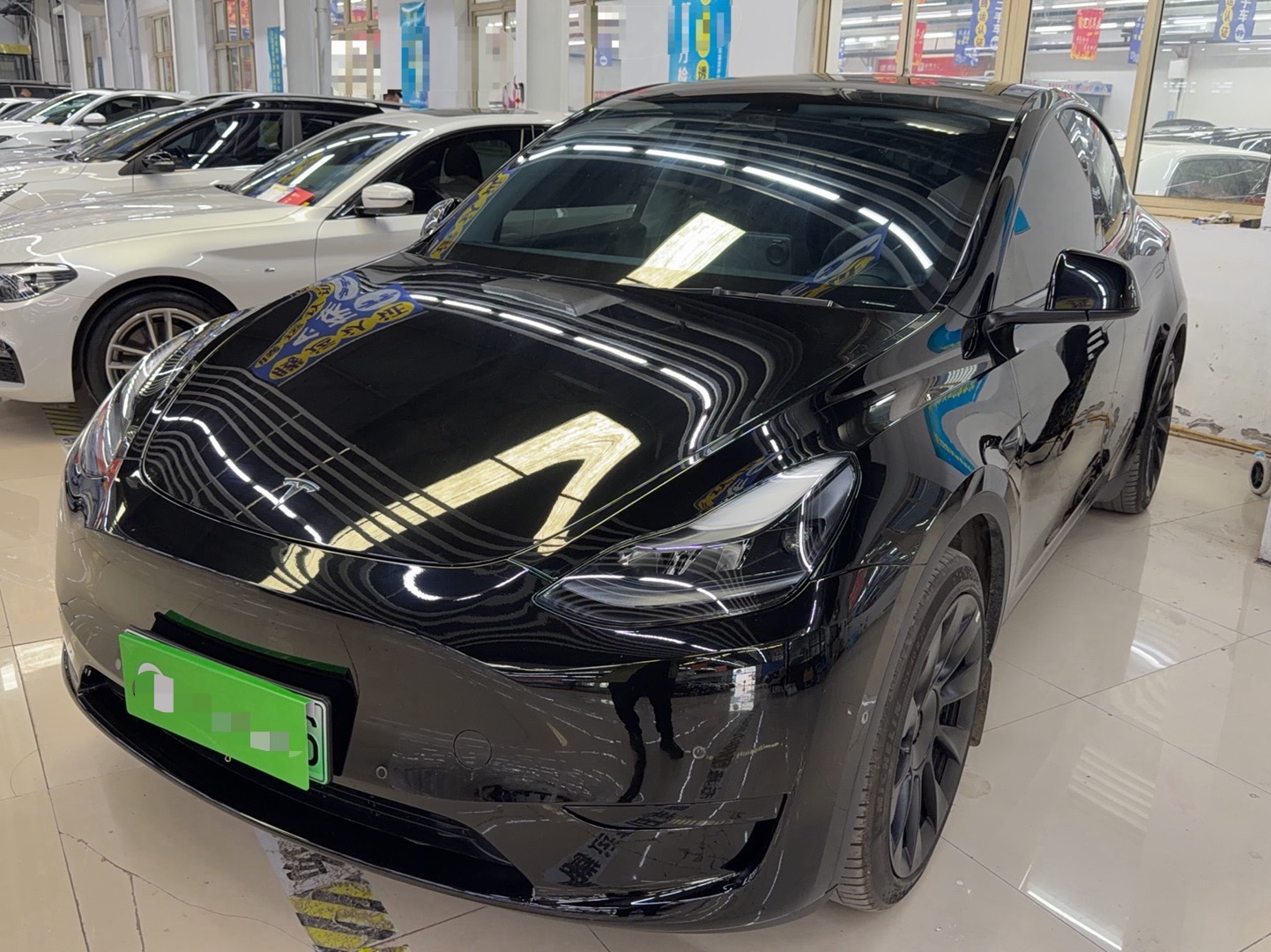 Tesla Model Y 2023 Tesla Model Y 2023 car image