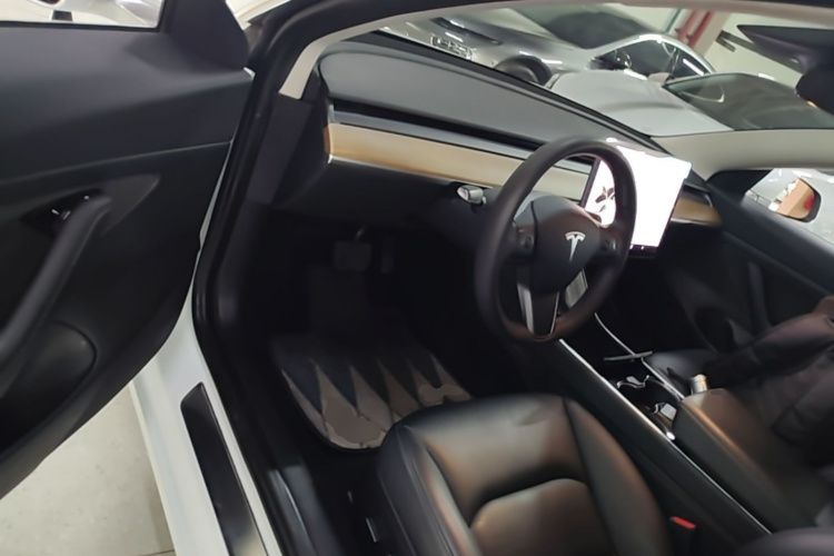 Tesla Model 3 2020 immagine di auto #16