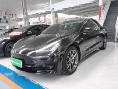Tesla Model 3 2023 Tesla Model 3 2023 car image