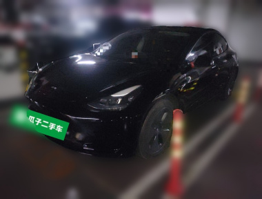 Tesla Model 3 2023 Tesla Model 3 2023 car image