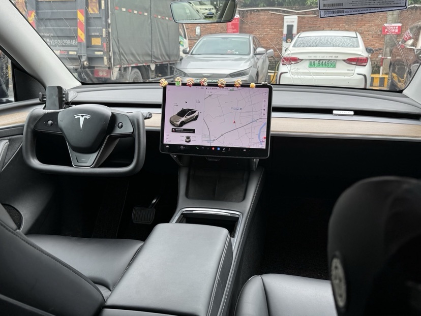 Tesla Model Y 2021 car image #6