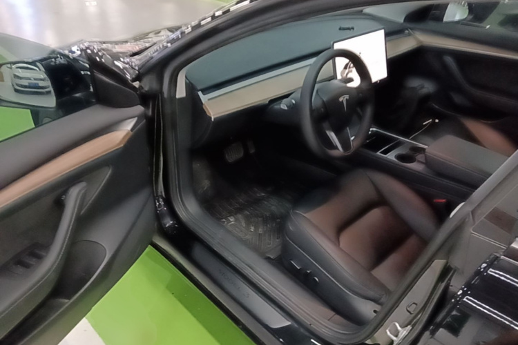 Tesla Model 3 2021 car image #16