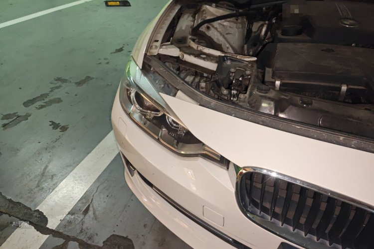 BMW 3 Series 2015 car image #8