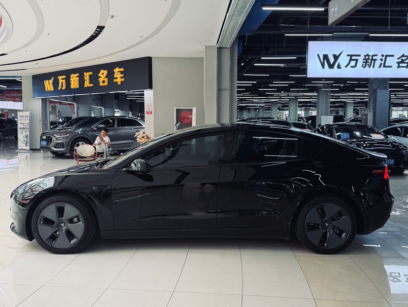 Tesla Model 3 2021 #5 Tesla Model 3 2021 car image #5
