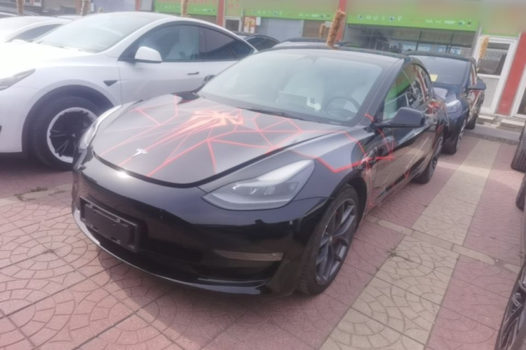 Tesla Model 3 2021 #2 Tesla Model 3 2021 car image #2