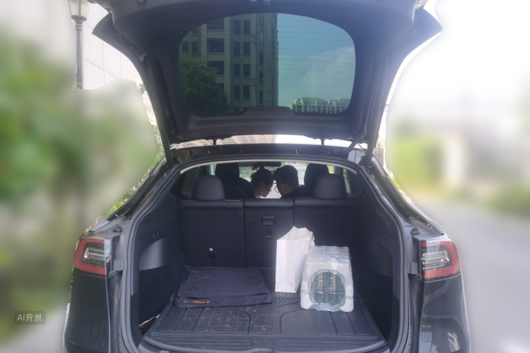Tesla Model Y 2021 car image #21