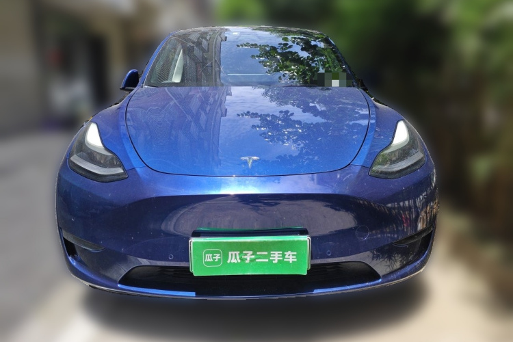 Tesla Model Y 2021 #3 Tesla Model Y 2021 car image #3