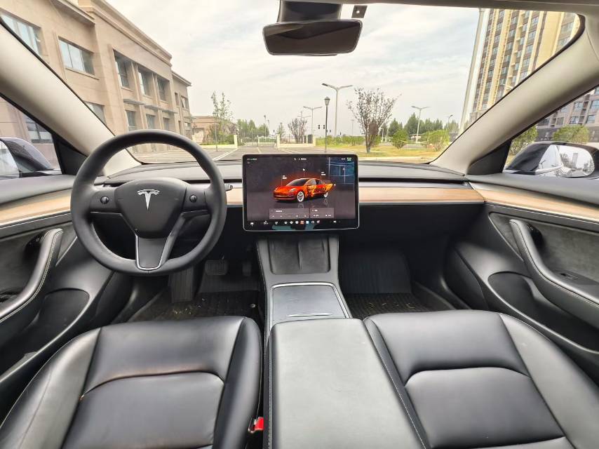 Tesla Model 3 2022 car image #7