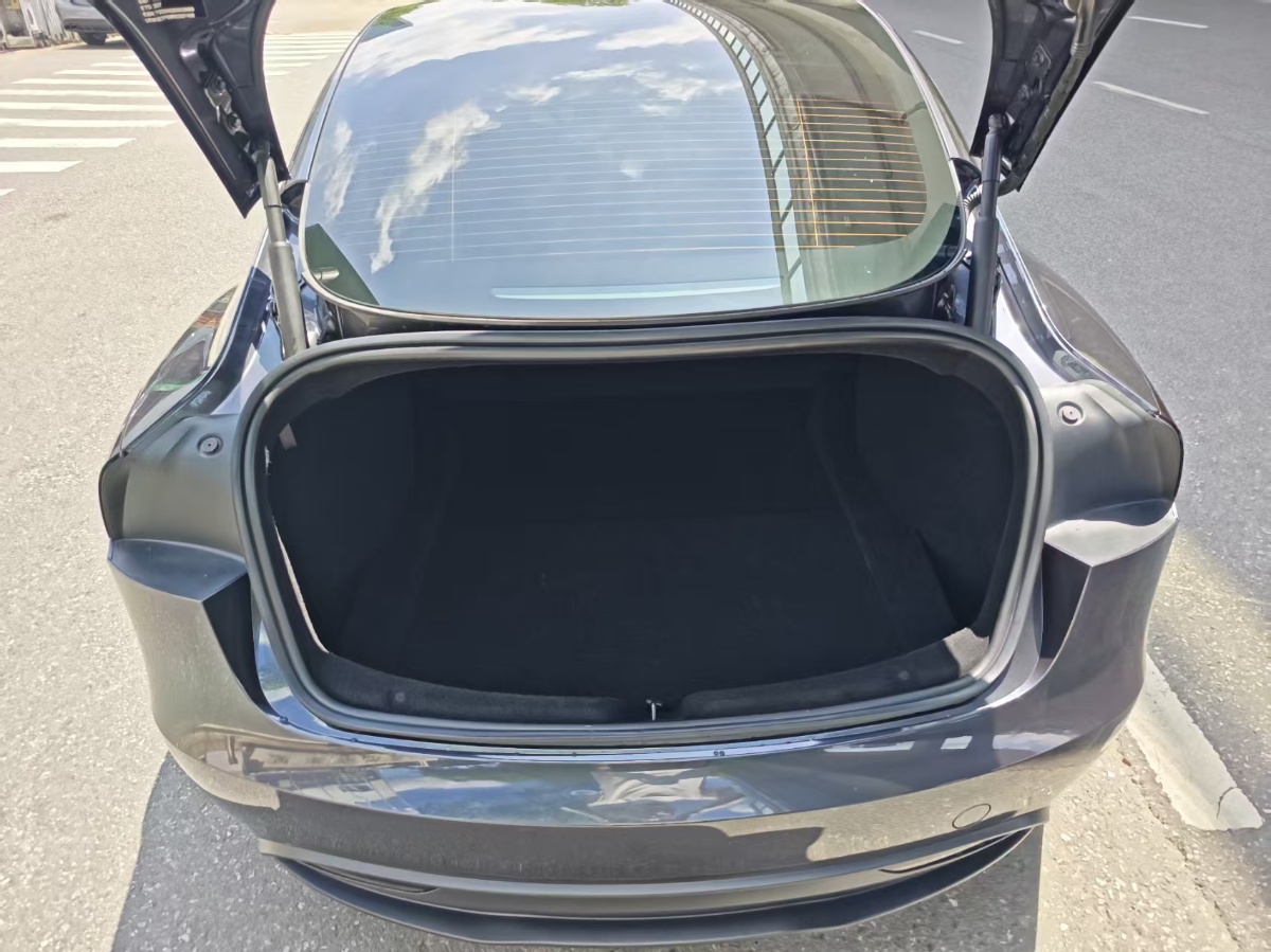 Tesla Model 3 2024 car image #7