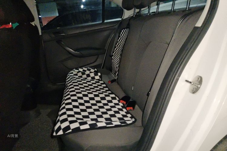 Volkswagen Santana 2020 car image #19