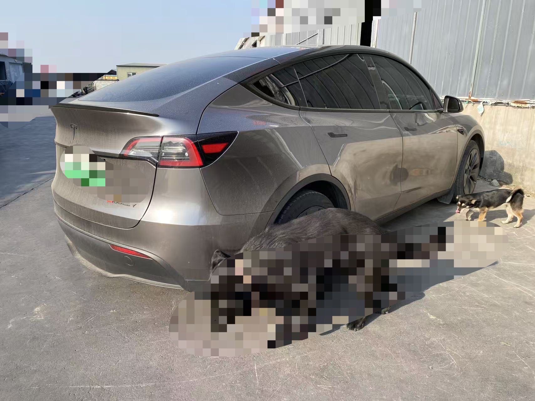 Tesla Model Y 2023 #5 Tesla Model Y 2023 car image #5