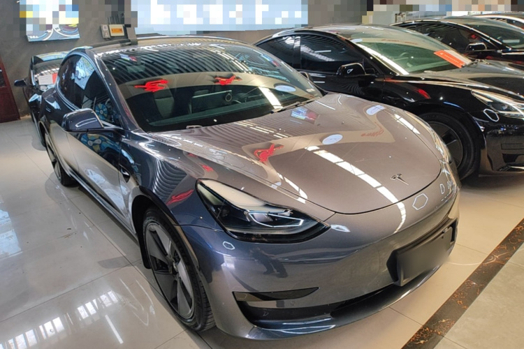 Tesla Model 3 2022 #6 Tesla Model 3 2022 car image #6