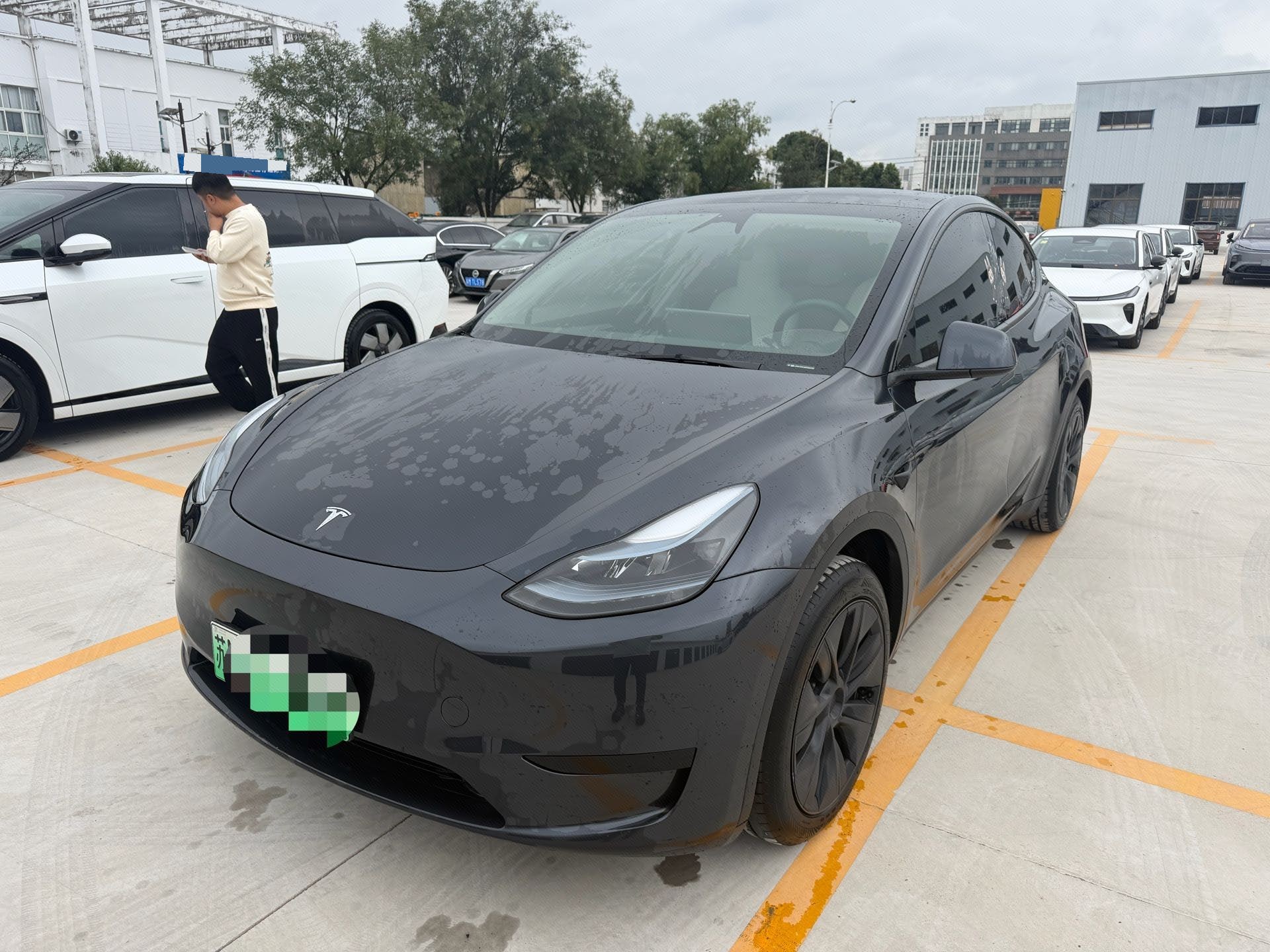 Tesla Model Y 2024 car image 