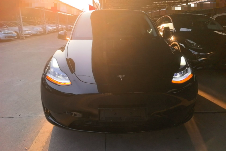 Tesla Model Y 2023 #3 Tesla Model Y 2023 car image #3