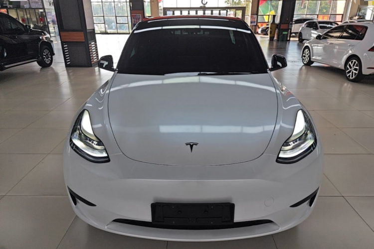 Tesla Model Y 2023 #3 Tesla Model Y 2023 car image #3